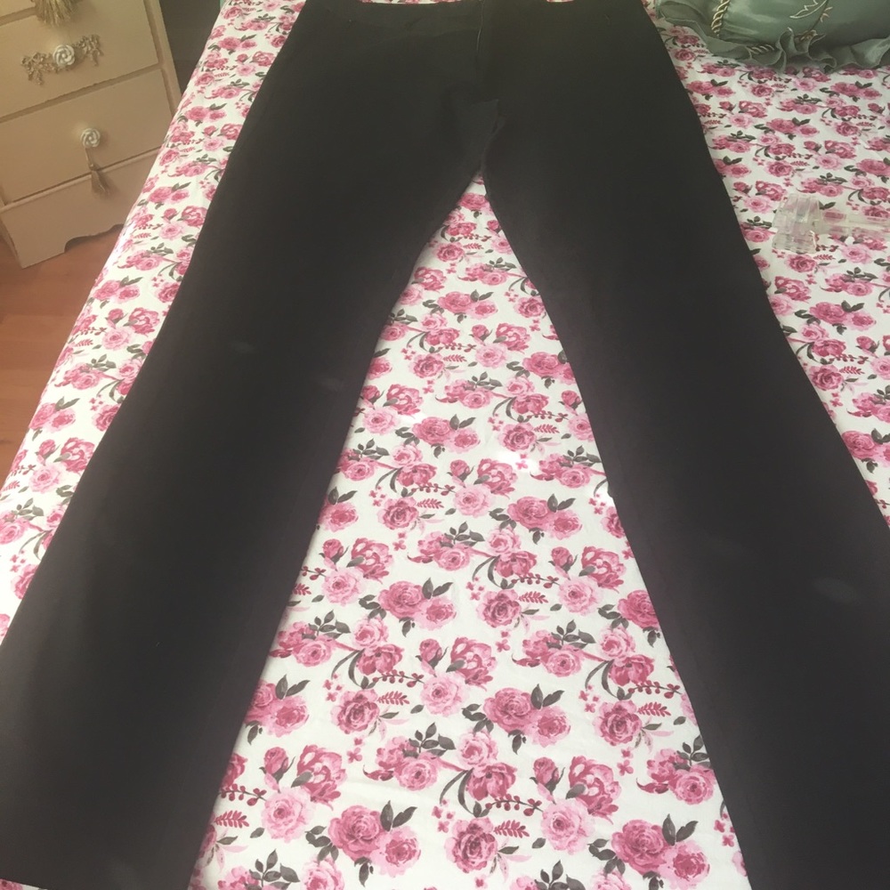 Pant